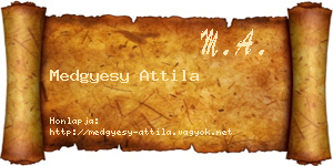 Medgyesy Attila névjegykártya