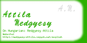 attila medgyesy business card